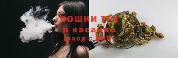 2c-b Богородицк