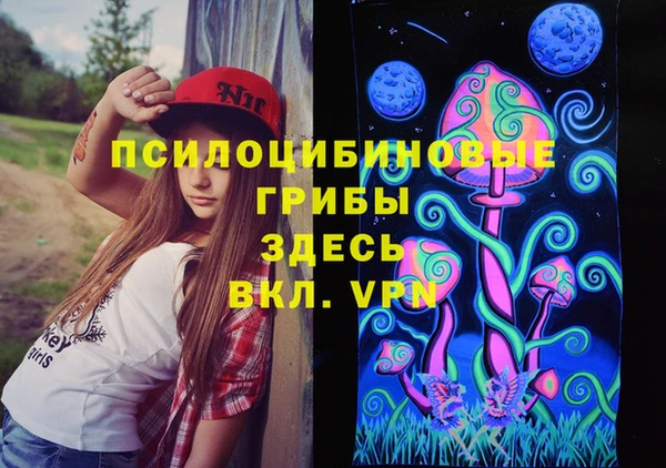ALPHA PVP Белокуриха