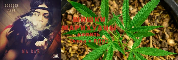 ALPHA PVP Белокуриха