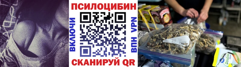 наркотики Кирсанов Псилоцибиновые грибы GOLDEN TEACHER